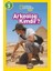 National Geographic Kids- Arkeolog Kimdir ? 1