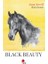 Black Beauty 1