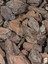 Sosc Natural Dekoratif Çam Kabuğu, Kahverengi, 2-4 Cm, 5 Litre, Organik, Drenaj Düzenleyici, Toprak Nemlendirici, Dekorasyon Amaçlı 1