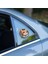 Fulcar Sarman Araç Stickerı 1