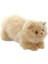 Yatan Peluş Krem Kedi 26CM Kız Erkek Çocuk Oyuncak Eğitici Oyuncaklar 1