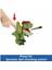 HNT65 Jurassic World Uncaged™ Interaktif Dilophosaurus Figürü Kız Erkek Çocuk Oyuncak Eğitici Oyunca 3
