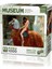 20706 Lady Godiva 1000 Parça Puzzle -Ks Puzzle Kız Erkek Çocuk Oyuncak Eğitici Oyuncaklar 1