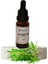 Çay Ağacı Yağı 20 ml (Tea Tree Oil) 1
