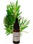 Çay Ağacı Yağı 20 ml (Tea Tree Oil) 3