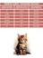 Mother Baby Kitten Somonlu ve Pirinçli Anne Yavru Kedi Mamsı 2 kg 2