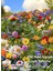 200 Adet Karışık Çiçek Tohumu- 2 Paket 1