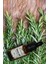 Biberiye Yağı 20 ml (Rosmarinus Oil) 2