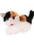 KZL-1609032 Peluş Miyavlayan Kedi - Stokta Olan Gönderilir Kız Erkek Çocuk Oyuncak Eğitici Oyuncakla 3