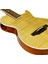 APE100N Elektro Akustik Gitar 2