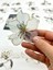 Florescence Altın Yaldızlı Siyah-Beyaz Özel Tasarım Zambak Çiçeği Sticker Seti/20 Adet/etiket/çıkartma 5