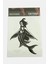 Deniz Kızı Tattoo Dövme Sticker 1