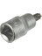 Buğz Lokmalı Allen Bits Uç Kısa - 7 mm (10 Adet) 1