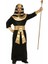 Mısır Firavun Kostümü Yetişkin 2