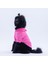Pembe Lucca Teddy Hoodie Ayı Kulaklı Peluş Orta Büyük Irklar Köpek Kıyafeti Köpek Sweati 4