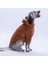 Kahverengi Lucca Teddy Hoodie Ayı Kulaklı Peluş Orta Büyük Irklar Köpek Kıyafeti Köpek Sweati 1