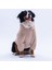 Bej Lucca Teddy Hoodie Ayı Kulaklı Peluş Orta Büyük Irklar Köpek Kıyafeti Köpek Sweati 3