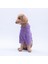Lila Lucca Teddy Hoodie Ayı Kulaklı Peluş Orta Büyük Irklar Köpek Kıyafeti Köpek Sweati 4