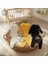 3lü Premium Set %100PAMUK0-3 Ay/24-36 Ay (3 Yaş)Arası Zıbın Çıtçıtlı Body ve Pantolontakımı Unisexkız Erkek Bebek Veçocuk 2
