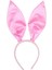 Pembe Saten Şekil Verilebilir Tavşan Kulak Taç 2