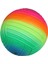 Double W Sports Gökkuşağı Tırtıklı Pvc Top 23 cm - PLS-200 2