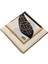 Vesi Eşarp Desenli Sport Twill Eşarp 120X120 cm 3