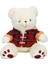 1510 Ekose Elbiseli Peluş Ayı 45 cm -Nessiworldman 2