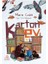 Karton Ev 1