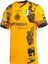 Inter 2024/25 Yeni Sezon Isimsiz Alternatif Forması (Yellow) 3