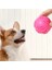 Pati Desenli Dayanıklı Köpek Isırma Topu 4