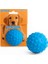 Petzoom Dikenli Köpek Oyun Topu 2