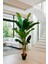 Yapay Muz 3 Gövdeli 200 cm Dekoratif Modern Ağaç 1