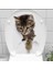 Decohandy Klozet Etiketi Stray Cat 1