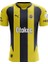 Fenerbahçe 2024/25 Yeni Sezon /maxı/iç Saha Yetişkin Forması 2