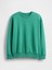 Erkek Çocuk Yeşil Vintagesoft Relaxed Bisiklet Yaka Sweatshirt 2