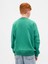 Erkek Çocuk Yeşil Vintagesoft Relaxed Bisiklet Yaka Sweatshirt 5