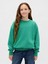 Erkek Çocuk Yeşil Vintagesoft Relaxed Bisiklet Yaka Sweatshirt 6
