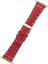 Apple Watch Uyumlu Deri Kordon 38-40-41MM SM43 Erc2 3