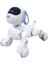 GAW-6601 Kumandalı Interaktif Akıllı Robot Köpek 2