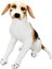 01409 Oturan Beagle Peluş 68 Cm. 1