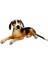 Buğz Sunman Peluş Yatan Köpek Beagle 1