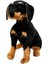 Buğz Sunman Oturan Rottweiler Peluş 68 Cm. 2