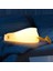 Yatan Ördek Tasarımlı Gece Lambası 1