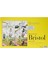 Bristol Duvar Resmi Düz Kağıt Pad 27,9 cm x 43 Cm, 24 Yaprak 1