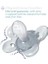Chicco Physioforma Comfort Silikon Emzik (2-6 Ay, 2'li) 3