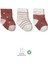 Bistyle 3'Lü Penye Kız Soket Çorap BS10112 Pudra 1