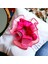 Kadın Pembe Kenarları Tül Scrunchie Büyük Boy Simit Toka 3