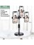 Ally Tripod Üçlü Telefon Tutucu Stand Youtuber Canlı Yayın Selfie Tiktok Makeup - T282G500-Z65 2