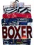 Star 106 Desenli Pamuklu Kemer Likralı 3'lü Boxer 4