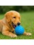 Petzoom Dikenli Köpek Oyun Topu 4